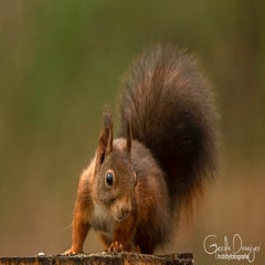 dsc_83973.jpg