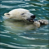 DSC_0590-kopie.jpg
