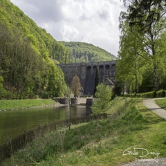 dsc_09132.jpg