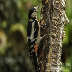 dsc_60042.jpg