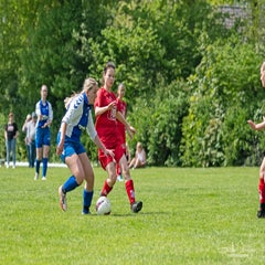 dsc_86642.jpg