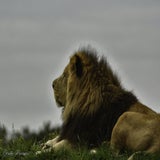 DSC_35812.jpg