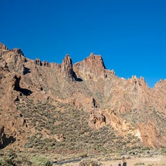 dsc_50623.jpg