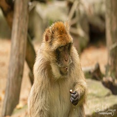 dsc_79463.jpg