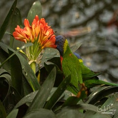 dsc_18183.jpg