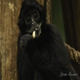 DSC_34872.jpg