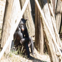 dsc_14443.jpg