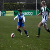 DSCN2337.jpg