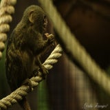 DSC_34612.jpg
