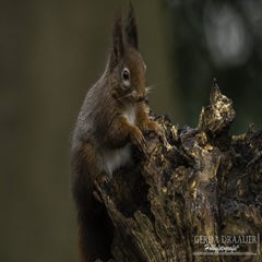 dsc_80782.jpg