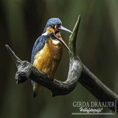 dsc_12542.jpg