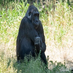 dsc_10043.jpg