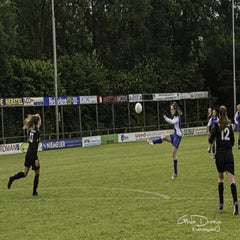 dsc_18782.jpg