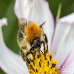 dsc_43792.jpg