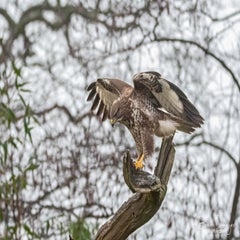 dsc_24693.jpg