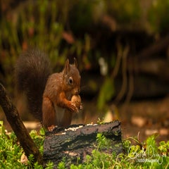 dsc_83473.jpg