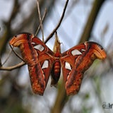 DSC_0671.jpg