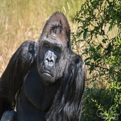 dsc_11683.jpg