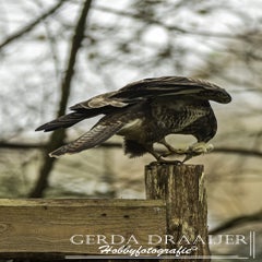 dsc_69632.jpg