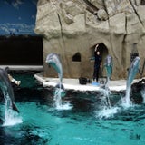 DSCN2648.jpg