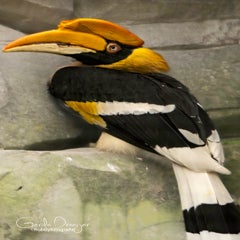 dsc_77322.jpg