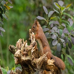 dsc_25913.jpg