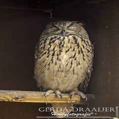 dsc_49852.jpg