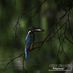 dsc_12602.jpg