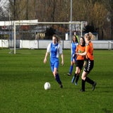DSCN3128.jpg