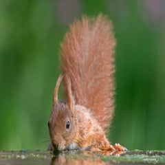 dsc_90643.jpg