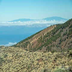dsc_50242.jpg