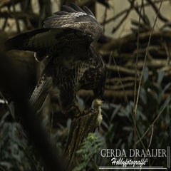 dsc_69802.jpg