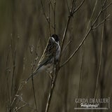 DSC_69862.jpg