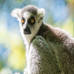 dsc_14513.jpg