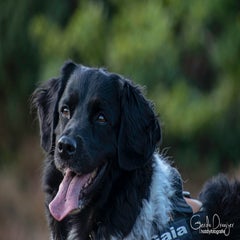 dsc_68853.jpg