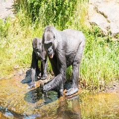 dsc_11143.jpg