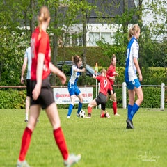 dsc_82882.jpg