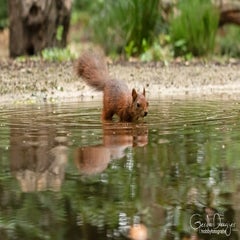 dsc_23193.jpg