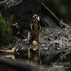 dsc_83862.jpg