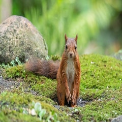 dsc_22773.jpg