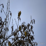 DSC_52042.jpg