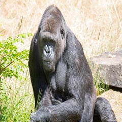 dsc_10263.jpg