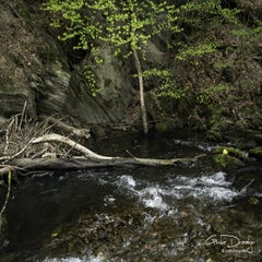 dsc_07822.jpg