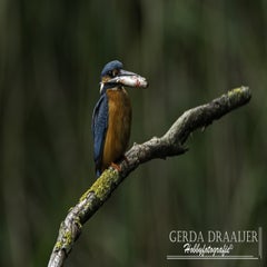 dsc_12582.jpg