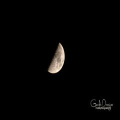 dsc_46133.jpg