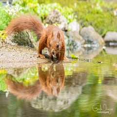 dsc_23713.jpg