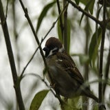 DSC_53192.jpg