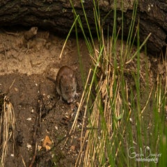 dsc_61612-1.jpg