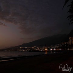 dsc_44593.jpg