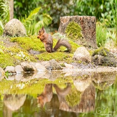 dsc_24423.jpg